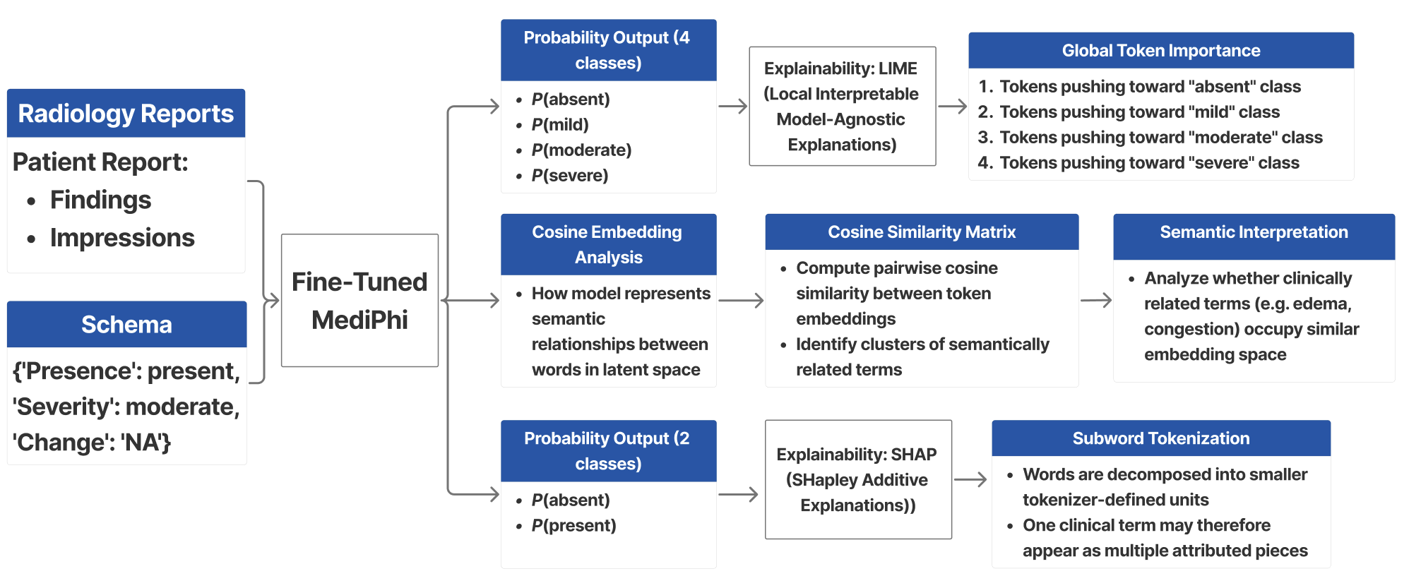 LLM Interpretability Workflow